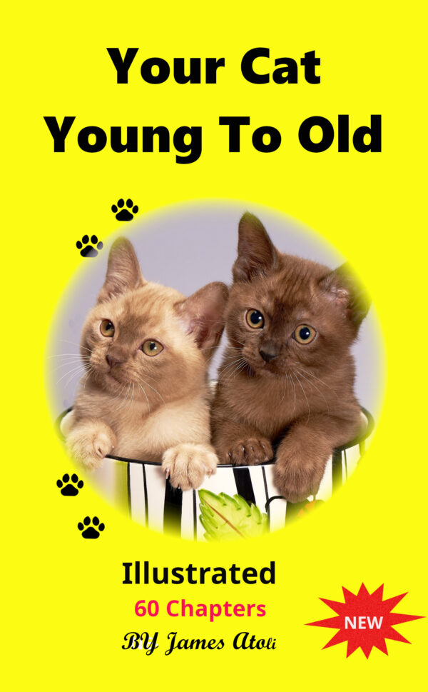 Showing Cats